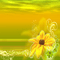 fond jaune et fleur