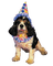party dog - png gratuito GIF animata