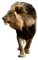 animal - Free PNG Animated GIF