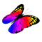 Kaz_Creations Deco Butterflies Butterfly Colours - ingyenes png animált GIF