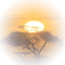 africa tree sunset - PNG gratuit GIF animé