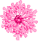 Snowflake.Pink.Animated - KittyKatLuv65 - GIF animé gratuit GIF animé