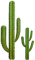 succulent plants bp - gratis png animerad GIF