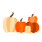 Pumpkins - GIF animate gratis GIF animata