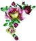 Flowers purple bp - kostenlos png Animiertes GIF