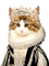Cat Queen - δωρεάν png κινούμενο GIF