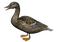 duck katrin - nemokama png animuotas GIF