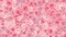 Pink Roses Background - png gratuito GIF animata