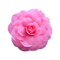 kikkapink deco scrap pink flower - besplatni png animirani GIF