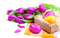 easter eggs - kostenlos png Animiertes GIF