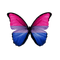 Bi butterfly - png ฟรี GIF แบบเคลื่อนไหว