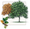 trees bp - ücretsiz png animasyonlu GIF