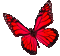 Animated.Butterfly.Red - By KittyKatLuv65