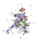 Purple flowers deco [Basilslament] - GIF animé gratuit