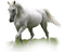 dulcineia8 cavalos - zadarmo png animovaný GIF