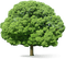 arvore jardim-l - Free PNG Animated GIF