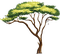 soave deco tree  africa    brown green - PNG gratuit GIF animé