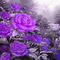 soave background animated flowers rose vintage - 免费动画 GIF 动画 GIF