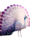 peacock🌿🌺❤️ - Free PNG Animated GIF