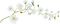 flowers-white-minou52 - zadarmo png animovaný GIF