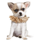 dog by nataliplus - ilmainen png animoitu GIF