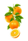 deco oranges orange transparent kikkapink - ilmainen png animoitu GIF