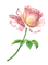 rose rose.Cheyenne63 - png gratuito GIF animata