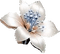 fiore ornamentale - бесплатно png анимированный гифка