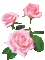 rose - Ücretsiz animasyonlu GIF animasyonlu GIF