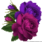 rose violet et mauve - GIF animado grátis Gif Animado