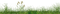 hierba - bezmaksas png animēts GIF