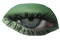 green eye - zadarmo png animovaný GIF