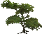 arbre - Бесплатный анимированный гифка анимированный гифка
