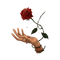 Rose gothique - PNG gratuit GIF animé