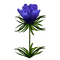 Tournesol94 fleur - Free PNG Animated GIF