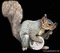 Squirrel bp - Darmowy animowany GIF animowany gif