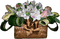 Kaz_Creations Deco Vase Flowers Plant Colours - png ฟรี GIF แบบเคลื่อนไหว