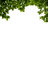 Kaz_Creations Bush - Free PNG Animated GIF