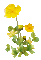 Plants.Fleur.Flowers.plante.yellow flower.Victoriabea - GIF animé gratuit GIF animé