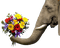 elephant elefant animal tube flower fleur gift present fun blumenbouquet  flower bouquet  bouquet de fleurs - PNG gratuit GIF animé
