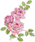 sparkly flowers - Darmowy animowany GIF animowany gif