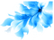 Flower, Flowers, Blue 2, Deco, Decoration - Jitter.Bug. - 免费PNG 动画 GIF