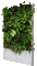 Gartenwand - Besplatni animirani GIF animirani GIF