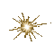 зірка - Δωρεάν κινούμενο GIF κινούμενο GIF