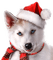 Kaz_Creations Christmas Dog Pup Dogs Colours - PNG gratuit GIF animé