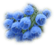 minou-flower-blue - nemokama png animuotas GIF
