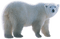 niedźwiedź polarny - безплатен png анимиран GIF