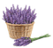 lavender  Bb2 - zadarmo png animovaný GIF