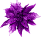 Christmas.Flower.Purple - zdarma png animovaný GIF