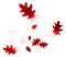 RED LEAVES AUTUMN DECO feuilles rouge automne - PNG gratuit GIF animé